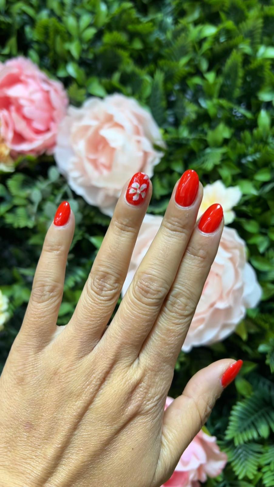 WhatsApp Image Nieuw